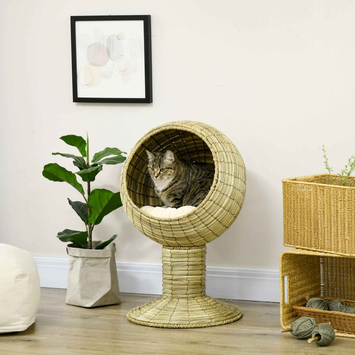 Tabby cat resting in raised cat bed