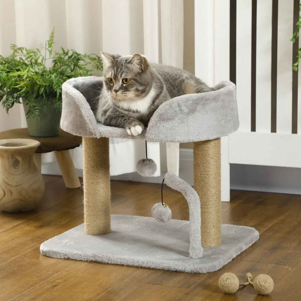 Tabby cat resting on top perch of small cat tree