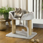 Tabby cat resting on top perch of small cat tree