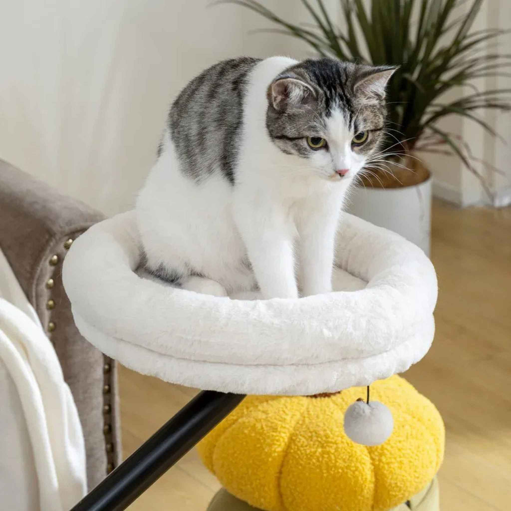 Tabby cat resting on white desk bed