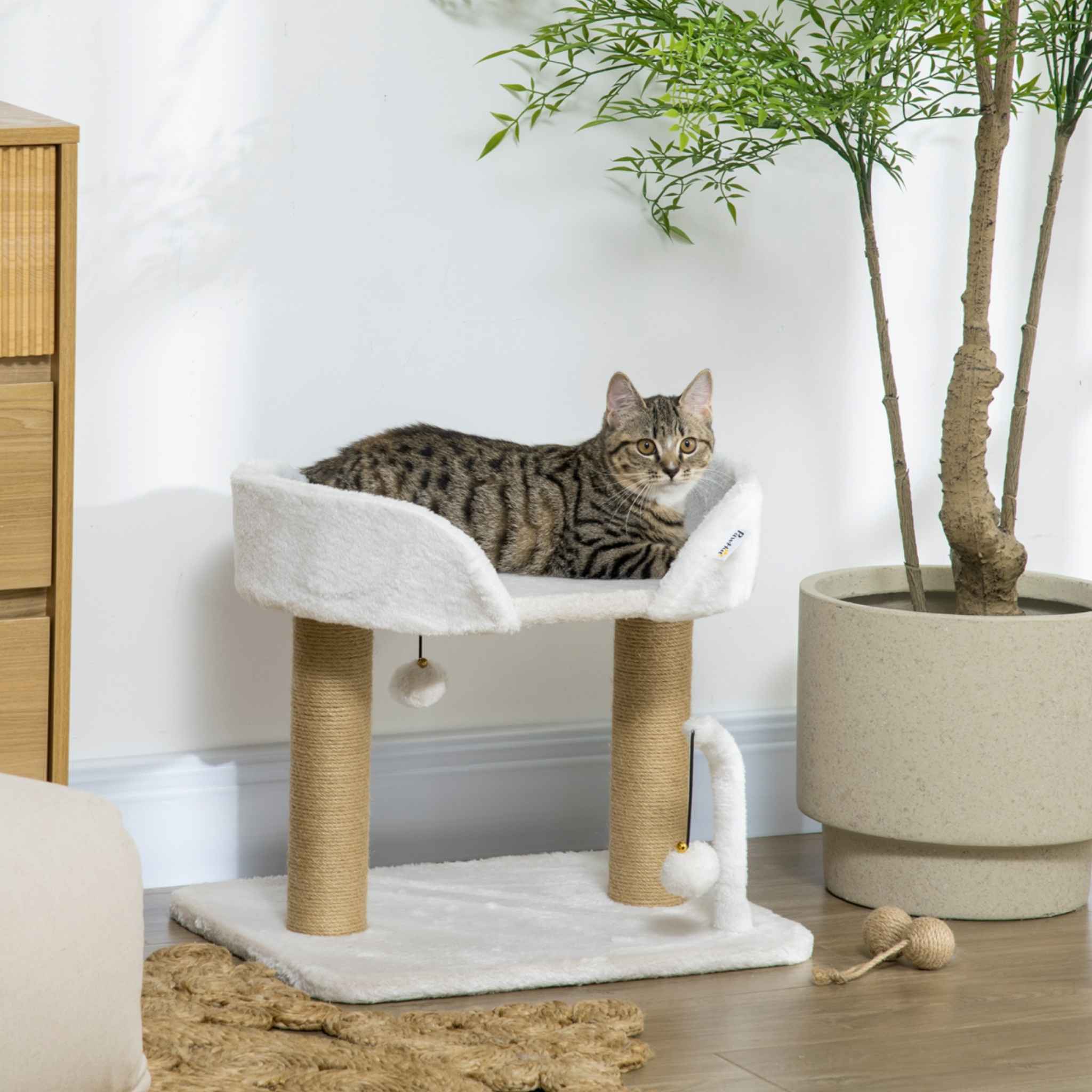 Tabby cat sitting on white cat tree