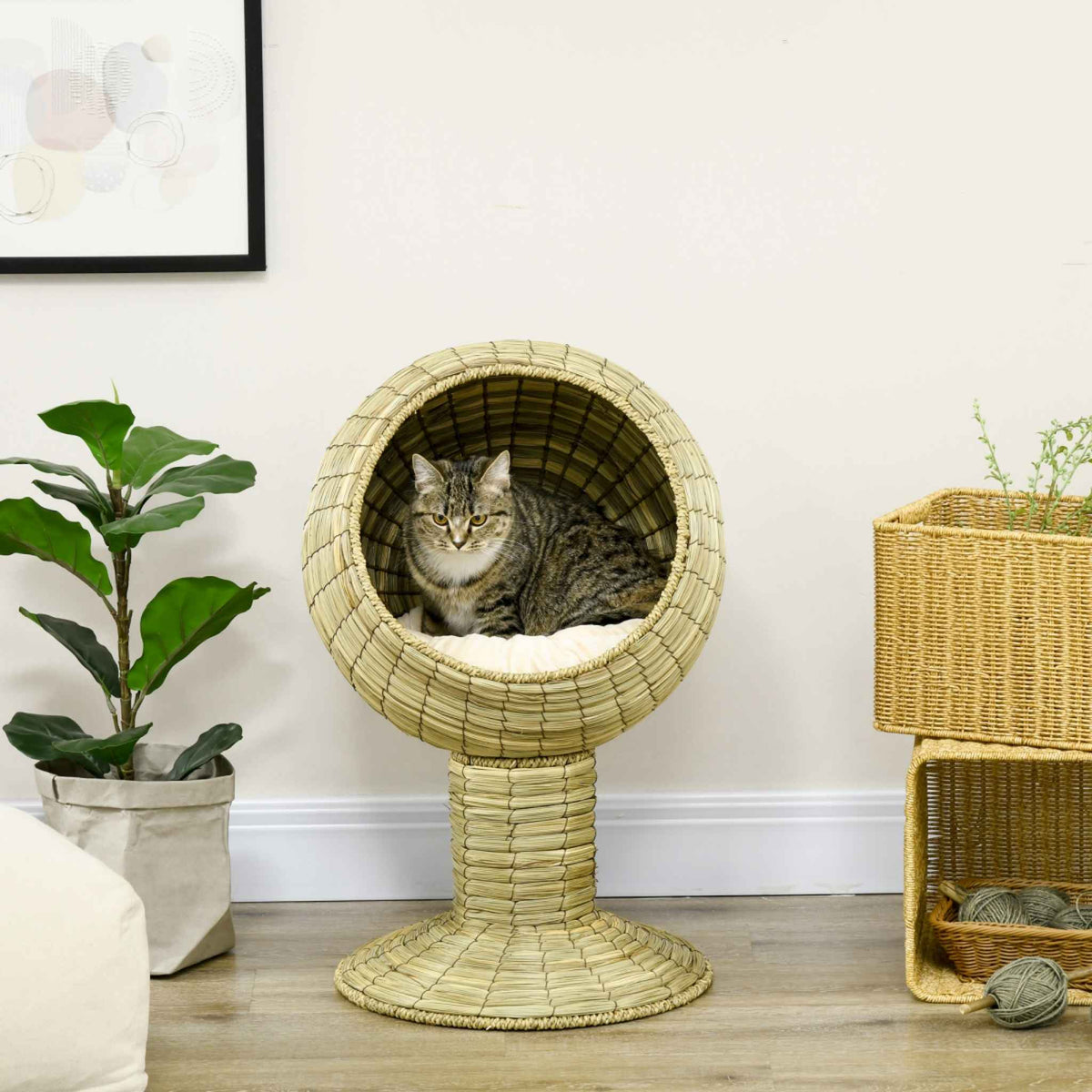 Tabby cat sleeping in raised bed