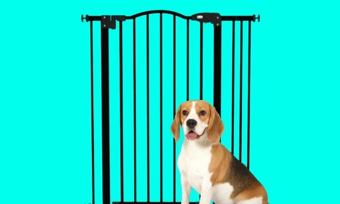Tall pet gates