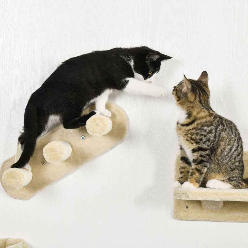 Two cats interacting with a wall-mounted cat tree
