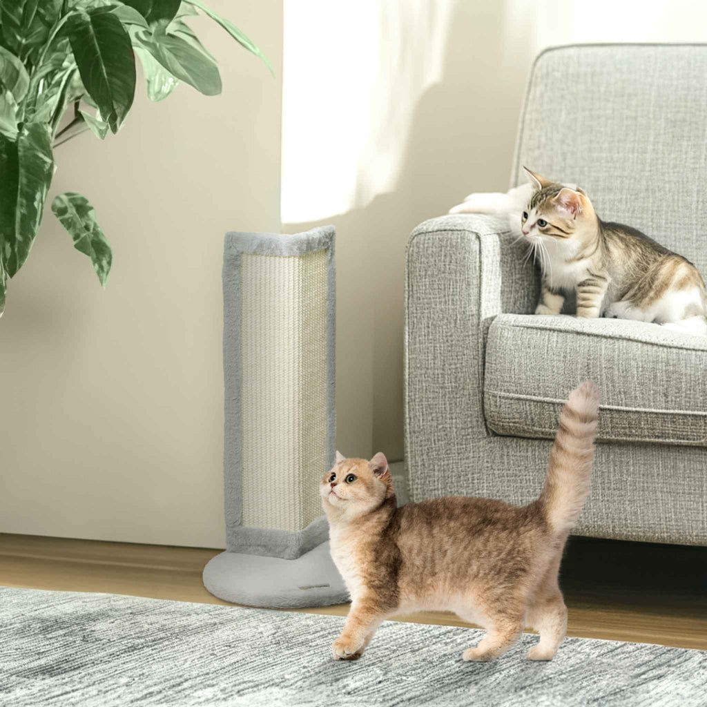 Two cats looking at scratching post