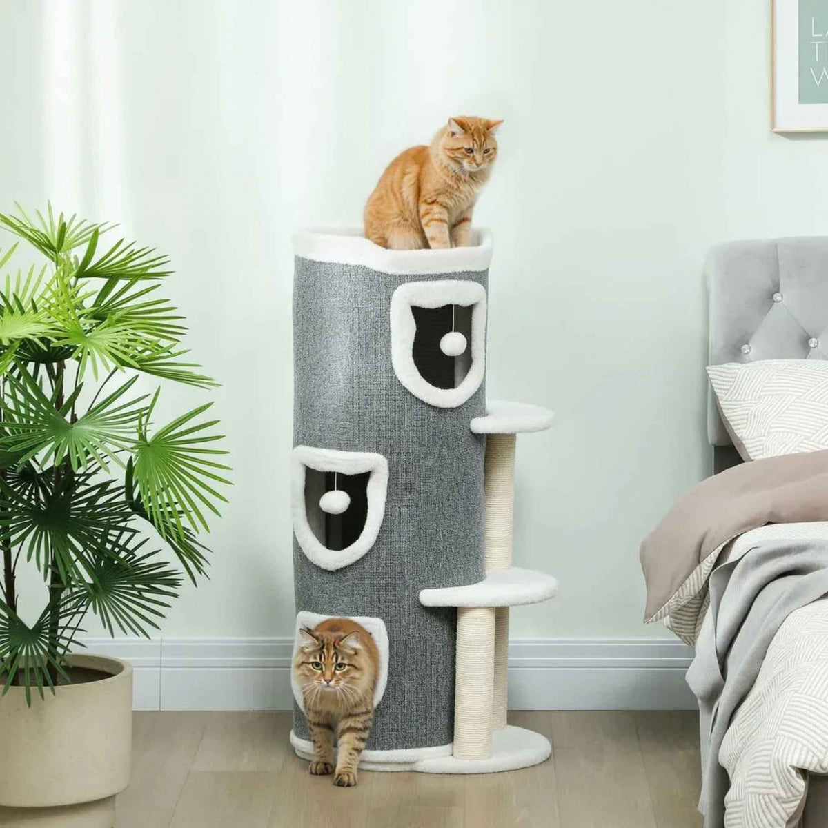 Two cats on different levels of scratching barrel