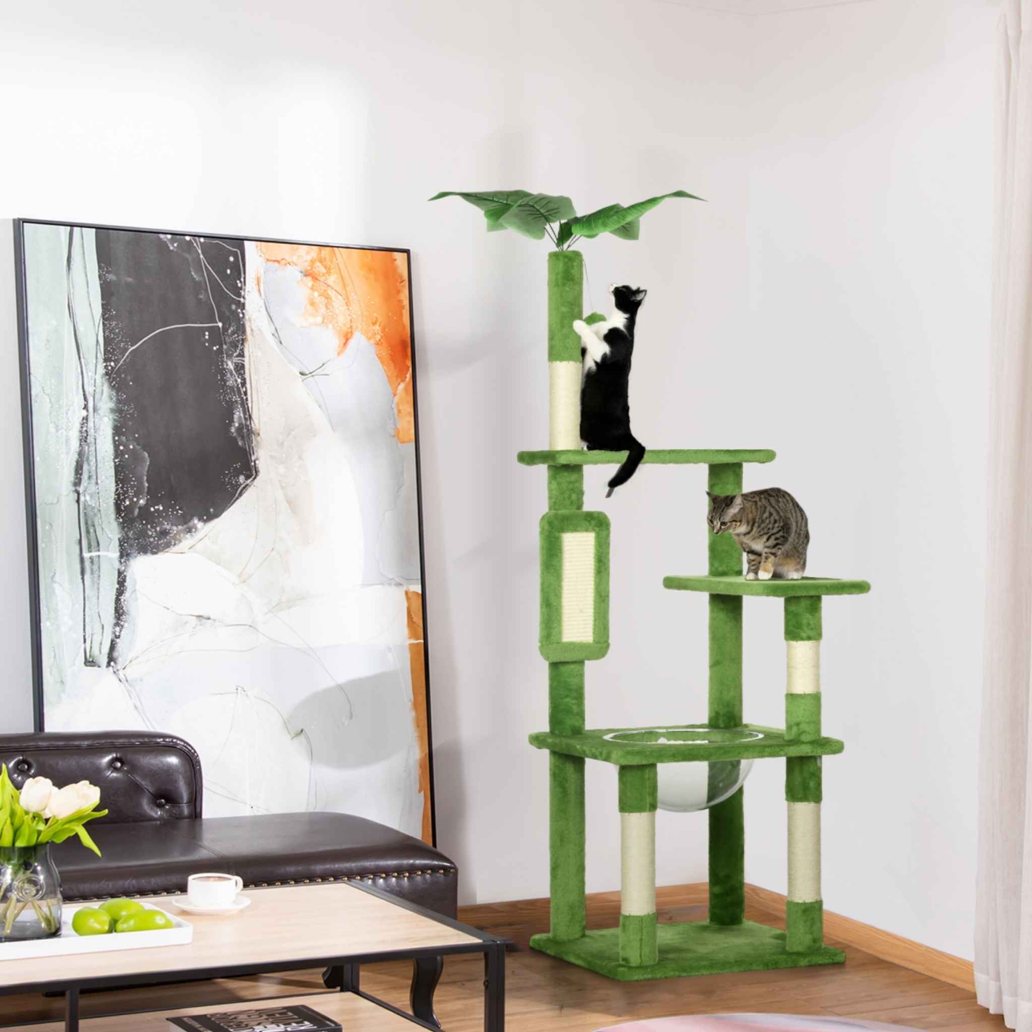 Two cats playing on green cat tree
