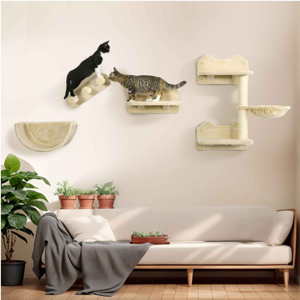 Two cats playing on wall mounted cat furniture