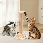 Two cats playing with toys on scratching post