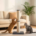 Two cats scratching a post