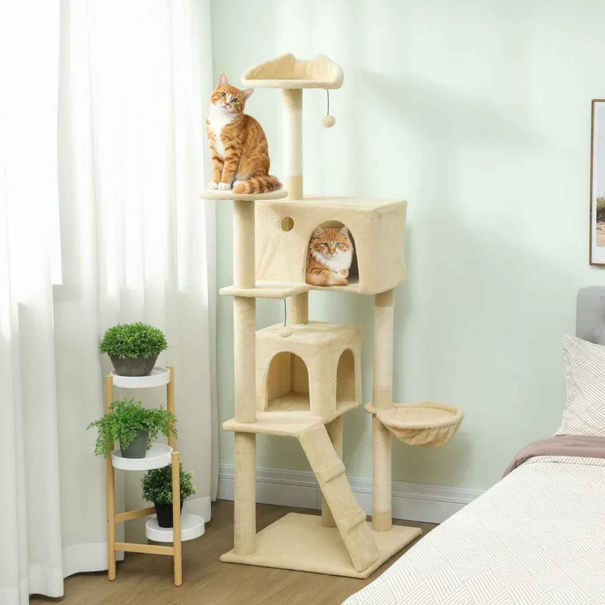 Two ginger cats playing on large beige cat tree