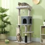 Two tabby cats sitting on 132cm tall cat tree