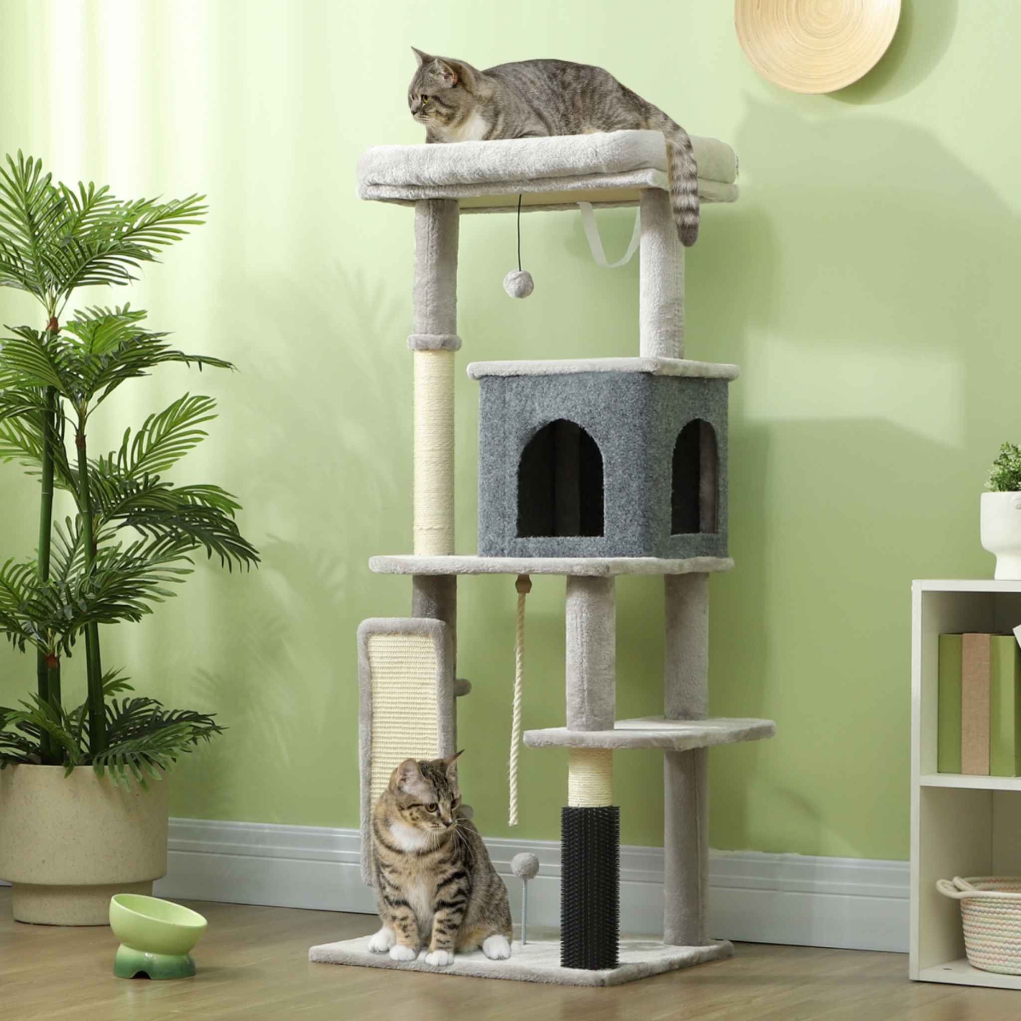 Two tabby cats sitting on 132cm tall cat tree