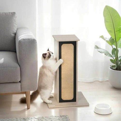 White cat scratching a post next to sofa