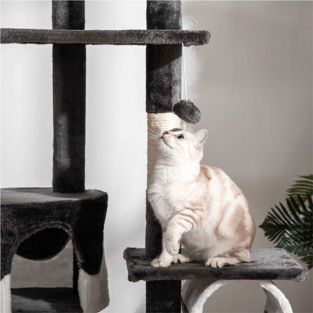 White cat sitting on dark grey fabric perch