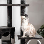 White cat sitting on dark grey fabric perch