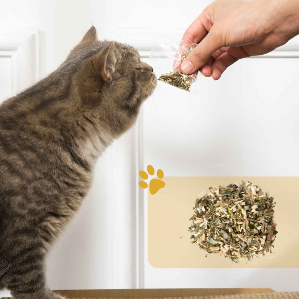 With catnip