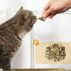 With catnip
